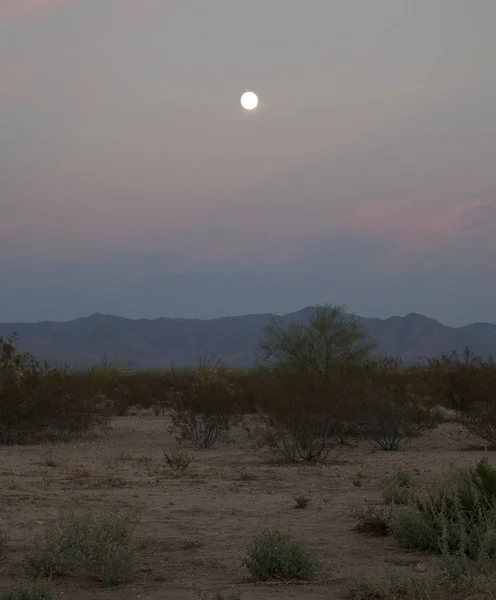 Pustynny Zarośla Góry Blakną Oddali Zachodzie Słońca — Zdjęcie stockowe