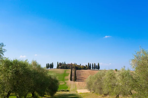 Toskana Hügellandschaft Italien Italienisches Landpanorama — Stockfoto