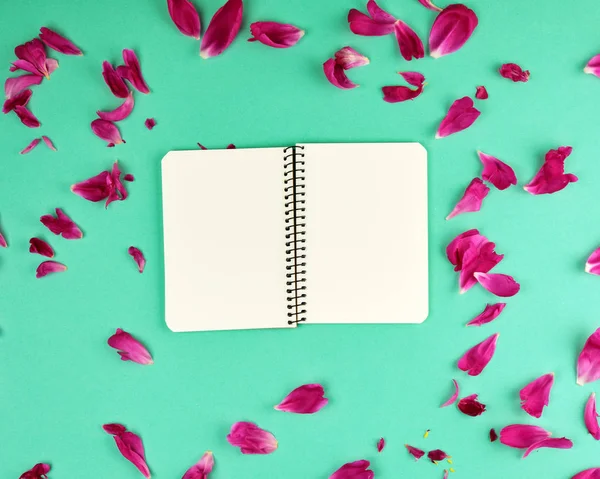 Open Notebook Met Witte Blanco Pagina Een Groene Achtergrond Bloemblaadjes — Stockfoto
