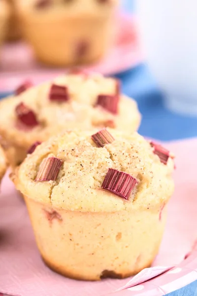 Čerstvé Domácí Rebarborové Jogurtové Muffiny Posypané Skořicí Cukrem Selektivní Zaměření — Stock fotografie