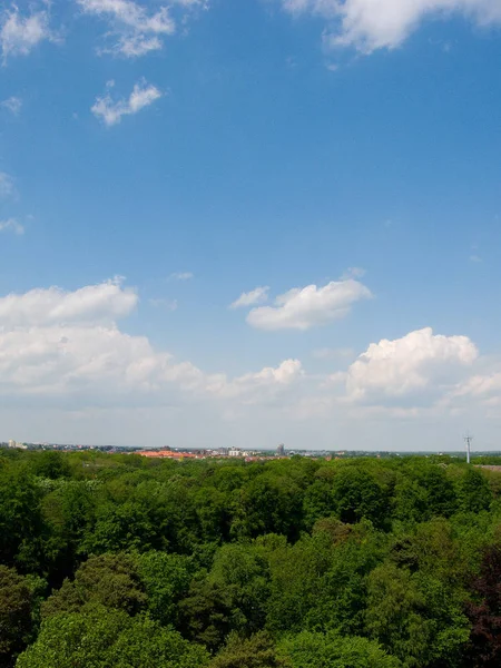 Stadsbos Eilenriede Hannover — Stockfoto