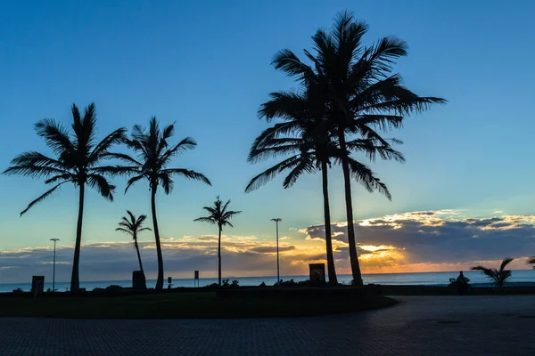 シルエットのヤシの木とビーチ遊歩道に沿って夜明け海の日の出風光明媚な色の風景 — ストック写真