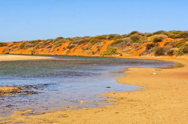 Piegare Fiume Little Lagoon Denham Australia — Foto Stock