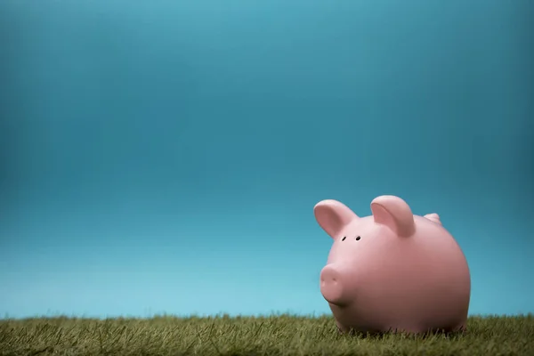 Piggy Bank Groen Gras Blauwe Lucht — Stockfoto