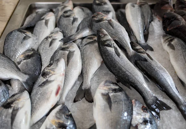 Verse Vis Koop Een Vismarkt — Stockfoto