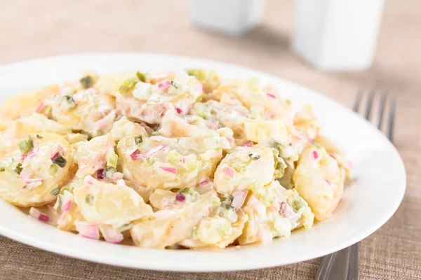 Frischer Hausgemachter Vegetarischer Kartoffelsalat Mit Roten Zwiebeln Gurken Mayonnaise Und — Stockfoto