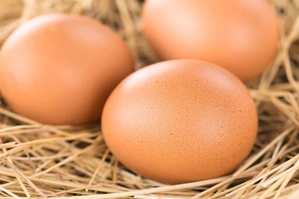 Frische Rohe Braune Eier Auf Heu Selektiver Fokus Fokus Auf — Stockfoto