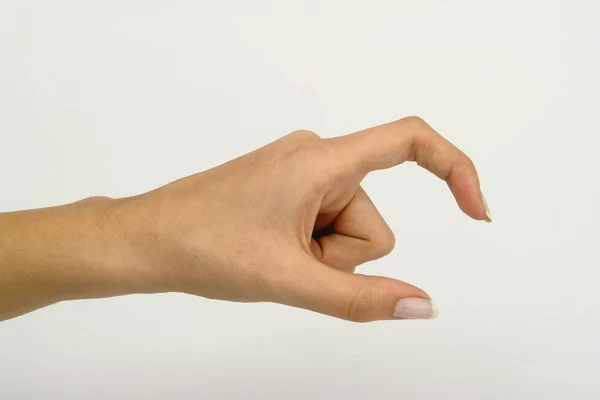 Isolated Women Hand Holding — Stock Photo, Image