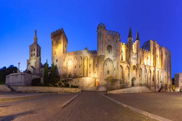 Papalık Sarayı Bir Zamanlar Bir Kale Saray Olan Avrupa Avignon — Stok fotoğraf