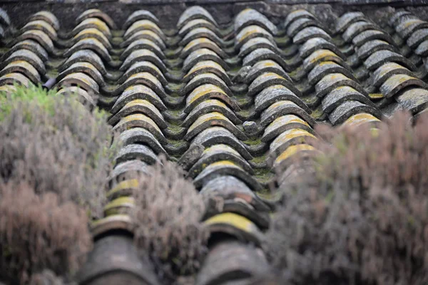 Azulejos de techo en el suelo — Foto de stock © koko-tewan #56263483