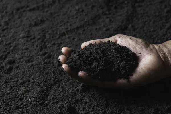 Main Mâle Tenant Terre Dans Les Mains Pour Plantation Avec — Photo