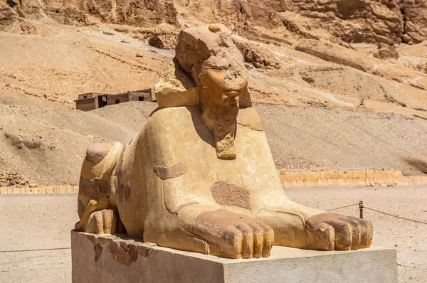 Luxor Hatshepsut Tapınağı Nda Antik Sfenks Kalıntıları Mısır — Stok fotoğraf