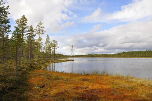 Swedia Adalah Kepulauan Stockholm — Stok Foto