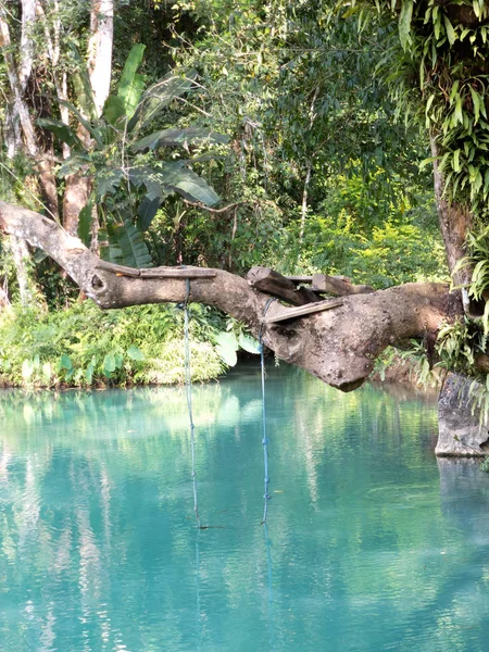 Laguna Blu Vang Vieng Laos Acqua Limpida Nuotare Con Foresta — Foto Stock