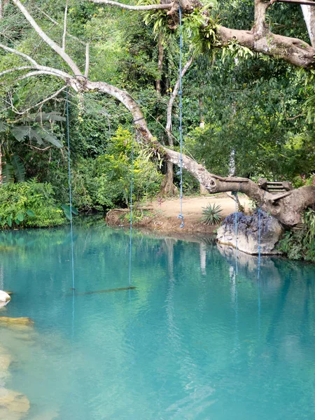 Блакитна Лагуна Віенг Лаос Чиста Вода Плавання Тропічним Лісом — стокове фото