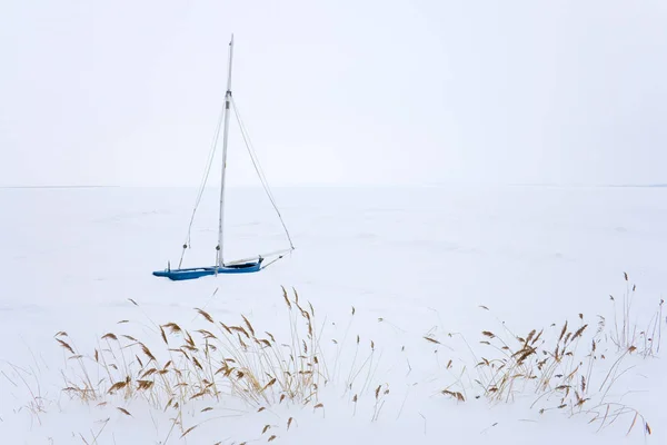 Vue Une Scène Hivernale — Photo