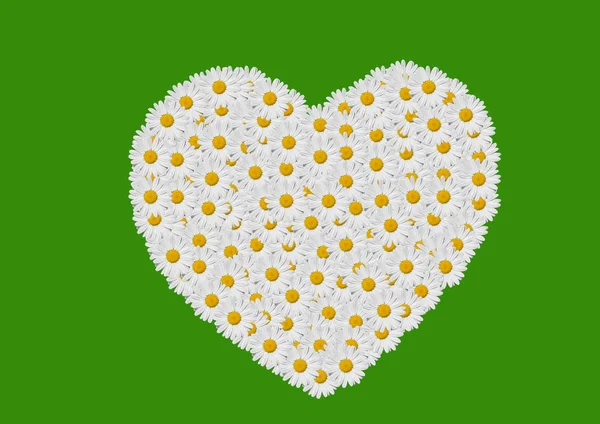 Coração Feito Com Flores Margaridas — Fotografia de Stock