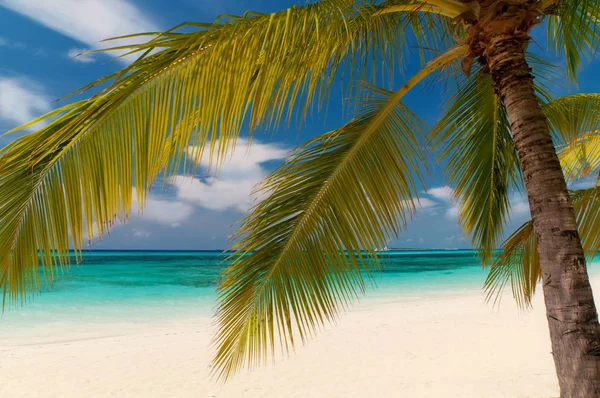 Vista Panorámica Playa Ensueño — Foto de Stock