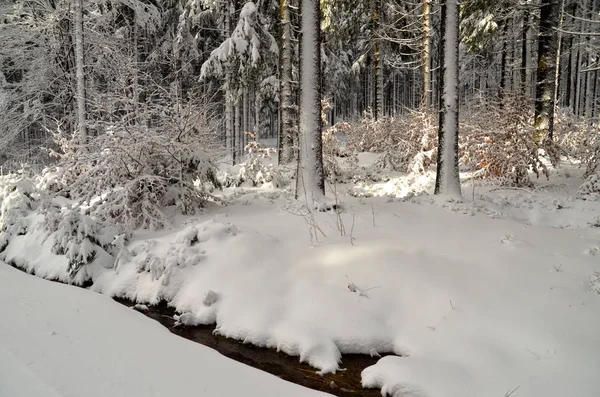 Sníh Horách Zimě — Stock fotografie