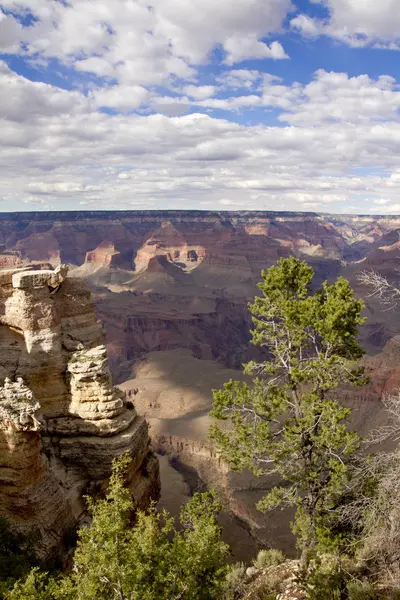 Parc National Grand Canyon Grès — Photo