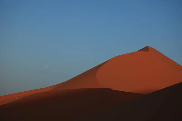 Scenic View Dunes Selective Focus — Stock Photo, Image