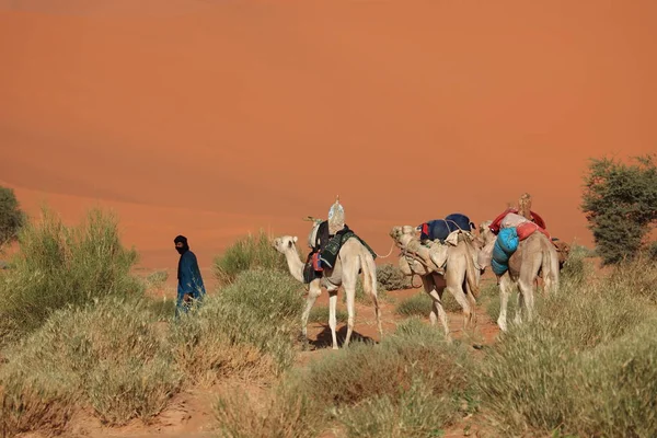 撒哈拉沙漠中的Tuaregs — 图库照片