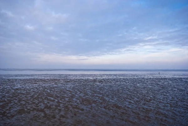 Picture Shows Wadden Sea North Sea — Stock Photo, Image