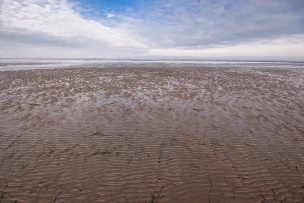 Photo Montre Mer Des Wadden Sur Mer Nord — Photo