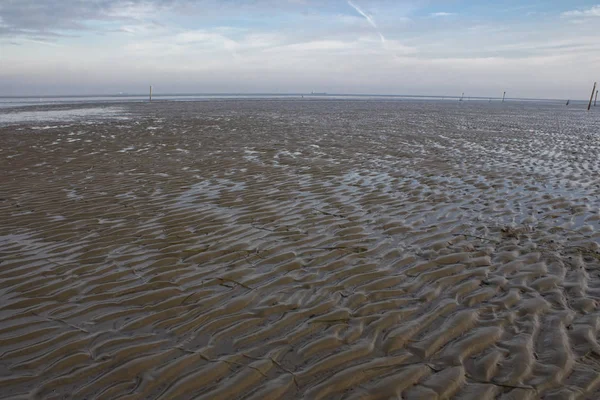 Retrato Mostra Mar Wadden Mar Norte — Fotografia de Stock