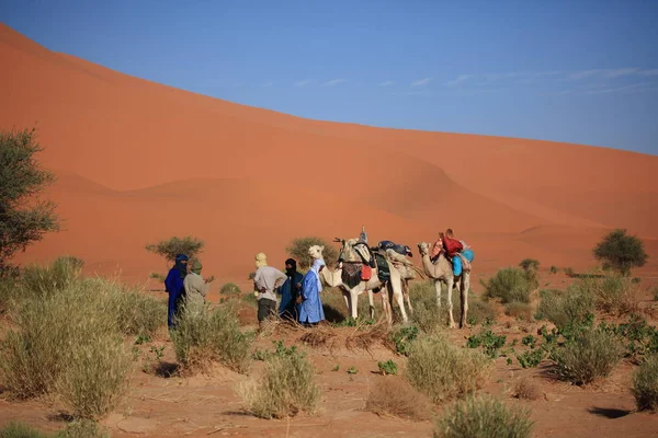Tuaregs Sahara — Stock Photo, Image