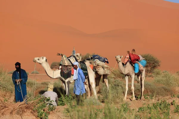 Sahara Römorkörler — Stok fotoğraf