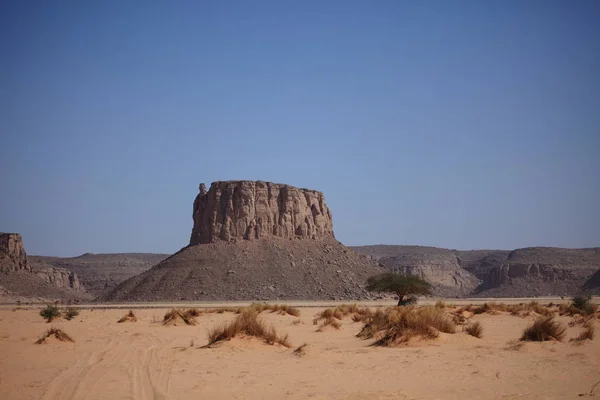 Живописный Вид Природу Пустыне Сахара — стоковое фото