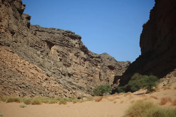 Malerischer Blick Auf Die Natur Der Sahara — Stockfoto