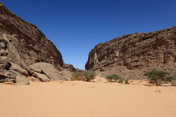 Malerischer Blick Auf Die Natur Der Sahara — Stockfoto