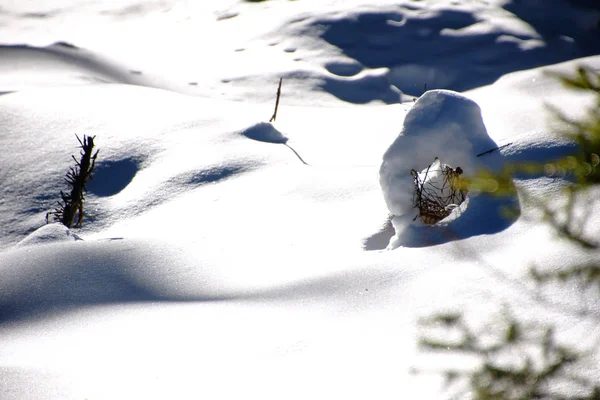 Kış Büyüsü Karla Kaplı Doğa — Stok fotoğraf