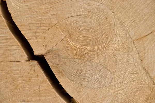 木制纹理 木材背景 — 图库照片