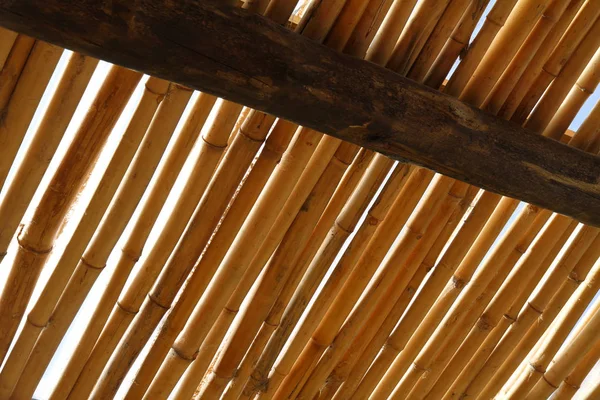 Egy Bambusz Tető Ellen — Stock Fotó