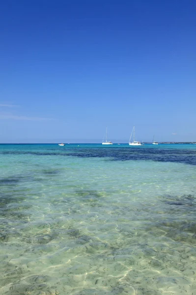 Malediven Wit Zandstrand Zonnig Tropisch Paradijs Eiland Met Aqua Blauwe — Stockfoto