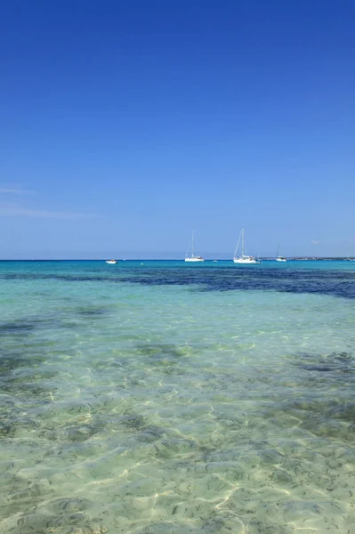 Maldives Plage Sable Blanc Sur Île Paradisiaque Tropicale Ensoleillée Avec — Photo