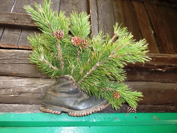 Albero Natale Con Manico Legno Piccola Finestra — Foto Stock