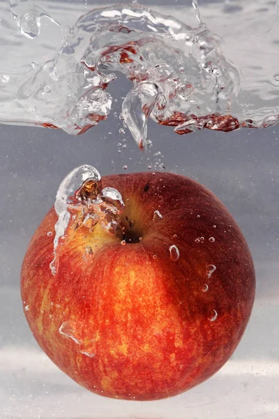 Güzel Kırmızı Elma — Stok fotoğraf