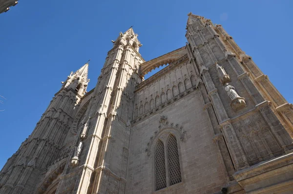 Kathedrale Palma Mallorca — Stockfoto