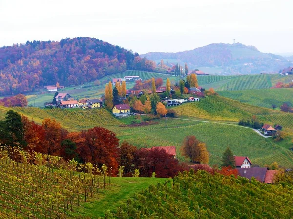 Scenic View Countryside Selective Focus — Stock Photo, Image