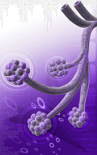 Digital Illustration Alveoli Färg Bakgrund — Stockfoto