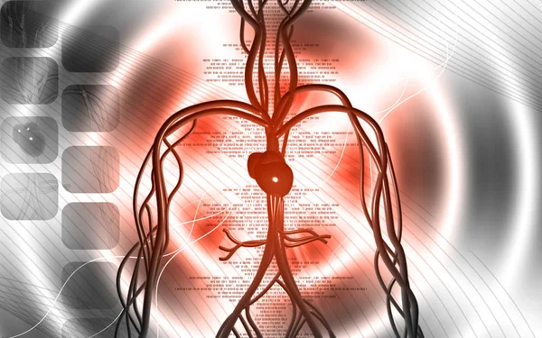 Ilustração Digital Sistema Vascular Fundo Colorido — Fotografia de Stock