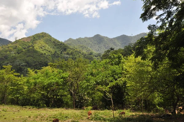 Krajina Sierra Maestra Jihu Kuby — Stock fotografie
