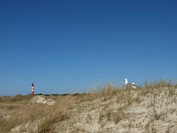 Panoramisch Uitzicht Duinen Selectieve Focus — Stockfoto