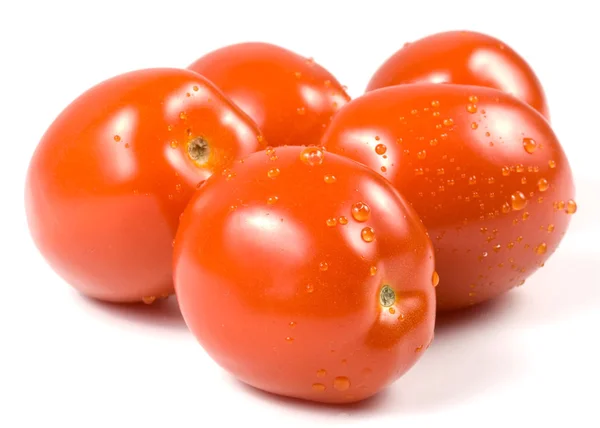白い背景に水滴が隔離された新鮮なトマト — ストック写真