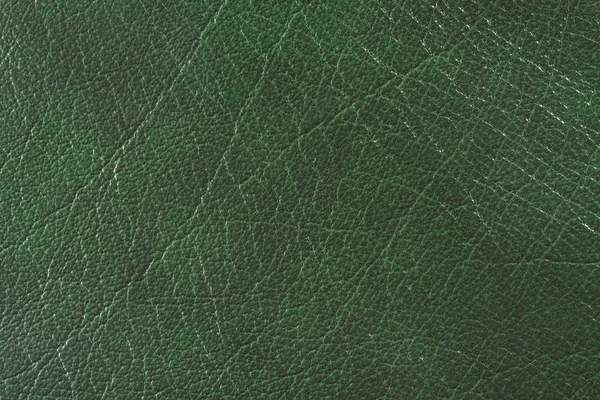 Naturliga Kvalitativa Grönt Läder Textur Närbild — Stockfoto