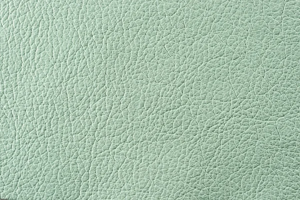 Natural Qualitative Pistachio Leather Texture Close — Stock Photo, Image